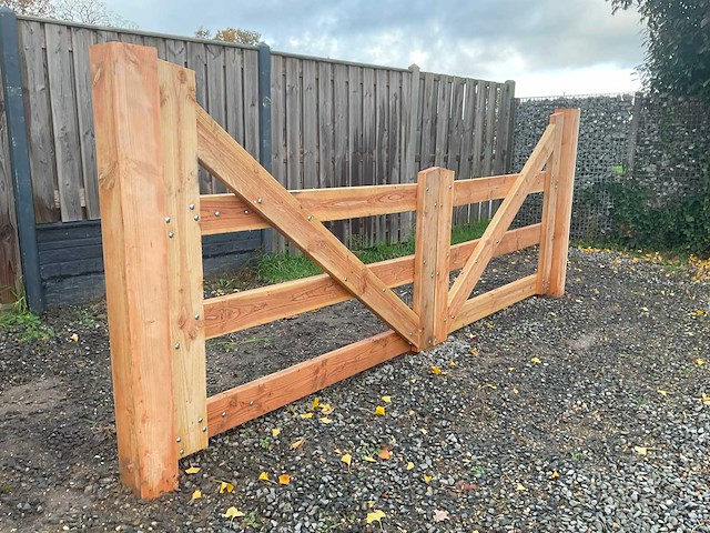 Dubbele poort douglas - 300x100 cm - afbeelding 4 van  5