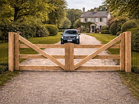 Dubbele poort douglas - 500x100 cm - afbeelding 1 van  4