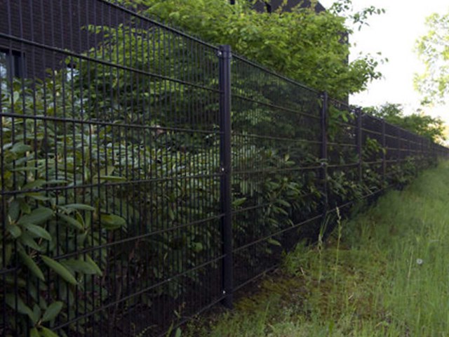 Dubbelstaaf hekwerk zwart 2,03 x 25,7m - afbeelding 2 van  2