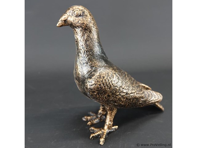 Duif - afbeelding 3 van  5