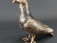 Duif - afbeelding 3 van  5