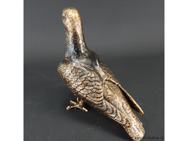 Duif - afbeelding 4 van  5