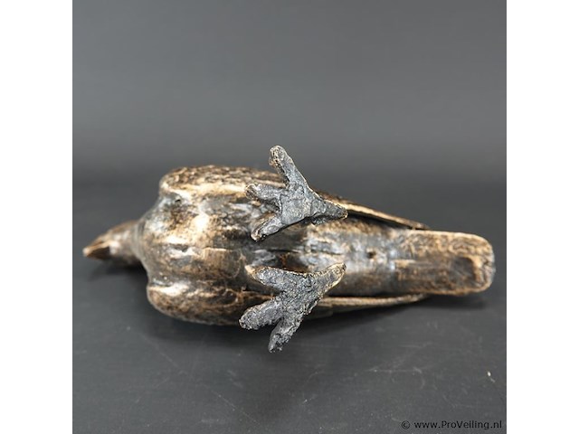 Duif - afbeelding 5 van  5