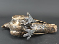 Duif - afbeelding 5 van  5