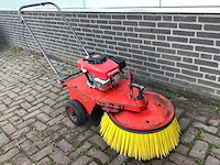 Duks bezem - afbeelding 1 van  4