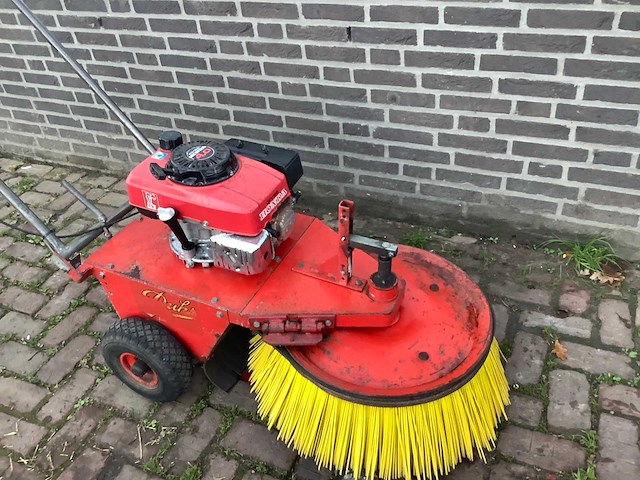 Duks bezem - afbeelding 2 van  4