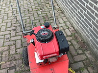 Duks bezem - afbeelding 3 van  4