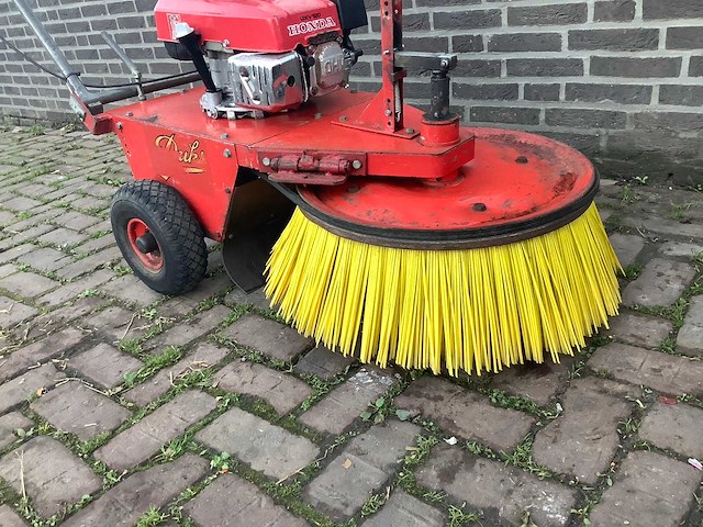 Duks bezem - afbeelding 4 van  4