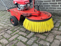 Duks bezem - afbeelding 4 van  4