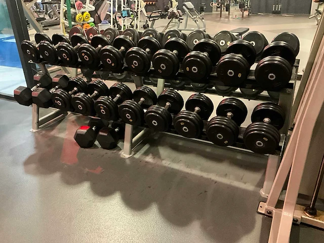 Dumbbellset met rek - afbeelding 2 van  8