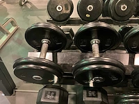 Dumbbellset met rek - afbeelding 4 van  8
