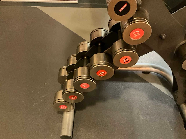 Dumbbellset met rek - afbeelding 6 van  6