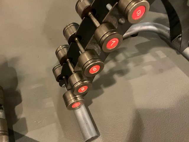 Dumbbellset met rek - afbeelding 6 van  6