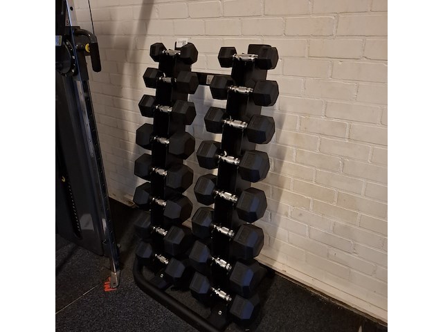 Dumbellrek pt essentials, 2x 8 stuks - afbeelding 2 van  7