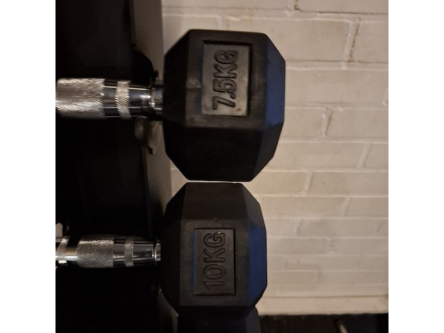 Dumbellrek pt essentials, 2x 8 stuks - afbeelding 5 van  7