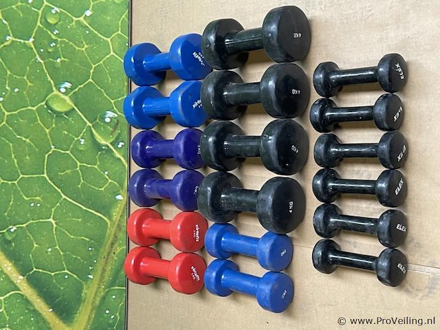 Dumbells - afbeelding 1 van  3