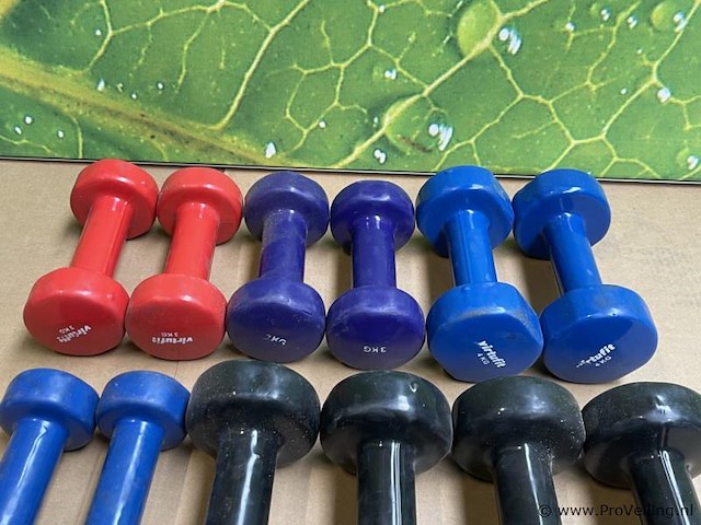 Dumbells - afbeelding 3 van  3