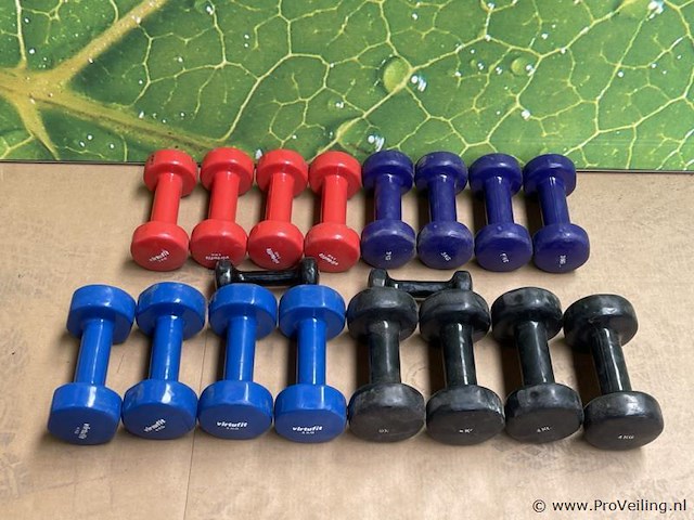 Dumbells - afbeelding 1 van  4