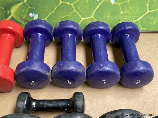 Dumbells - afbeelding 3 van  4