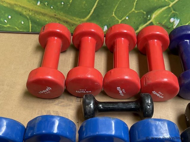 Dumbells - afbeelding 4 van  4