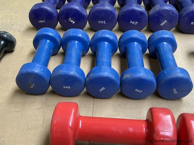 Dumbells - afbeelding 3 van  5