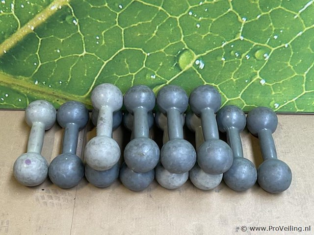 Dumbells - afbeelding 1 van  3