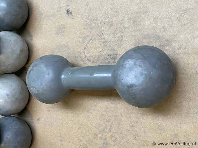 Dumbells - afbeelding 3 van  3