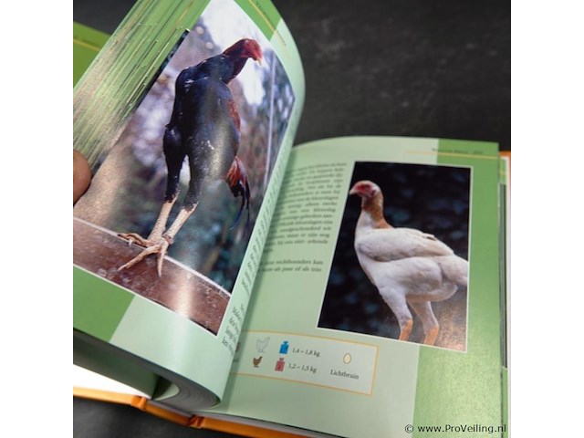 Dumonts kleien kippen lexicon - afbeelding 4 van  5