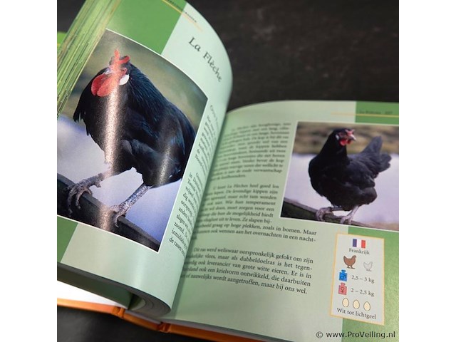 Dumonts kleien kippen lexicon - afbeelding 5 van  5
