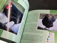 Dumonts kleien kippen lexicon - afbeelding 5 van  5