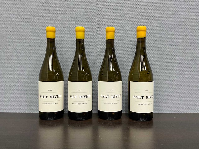 Duncan savage 'salt river' 2023 (4x) - afbeelding 1 van  3