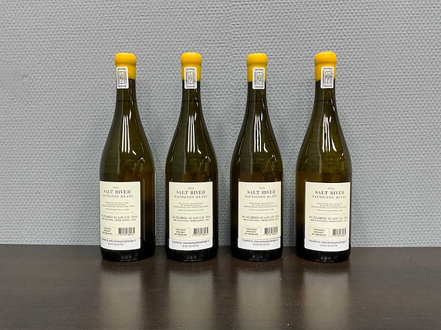 Duncan savage 'salt river' 2023 (4x) - afbeelding 2 van  3