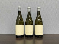 Duncan savage 'savage white' 2022 (3x) - afbeelding 1 van  3