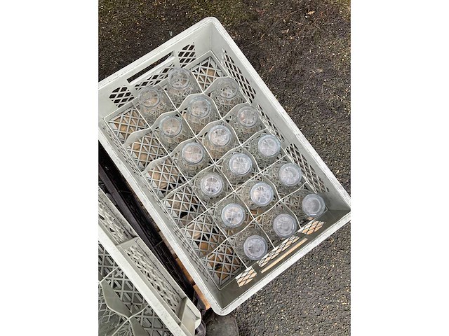 Duralex - picardi glass (59x) - afbeelding 7 van  7