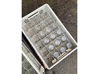 Duralex - picardi glass (59x) - afbeelding 7 van  7