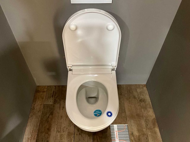 Duravit douche/toiletcombinatie - afbeelding 8 van  14