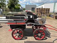 Dutch 6 persoons geremde menwagen - afbeelding 5 van  5