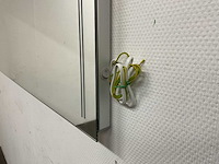 Dutch mirror factory - spiegel 160 x 70 cm - afbeelding 3 van  6