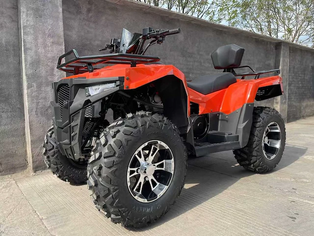 Dw atv 300cc quad - afbeelding 1 van  6