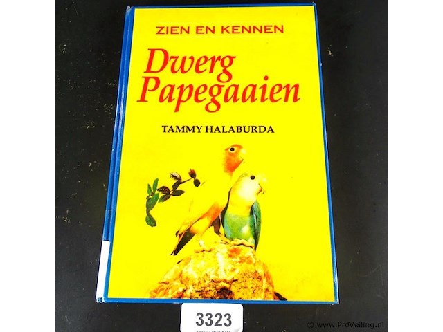 Dwerg papegaaien - afbeelding 1 van  5