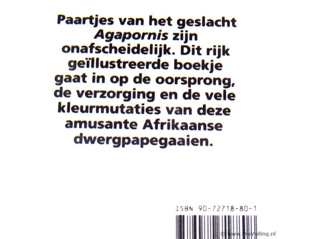 Dwerg papegaaien - afbeelding 2 van  5