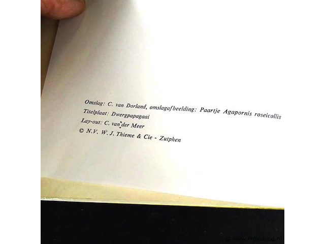 Dwergpapegaaien en loris - afbeelding 2 van  5