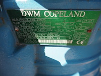 Dwm copeland - afbeelding 16 van  19