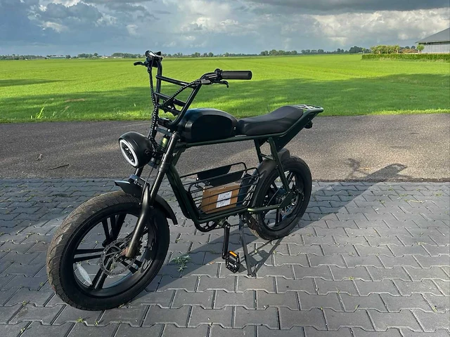 Dynalion elektrische fiets / fatbike (3x) - afbeelding 1 van  8
