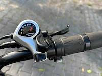 Dynalion elektrische fiets / fatbike (3x) - afbeelding 7 van  8