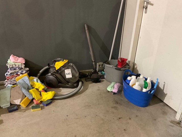 Dyson dc29 stofzuiger en schoonmaakgerei - afbeelding 1 van  5