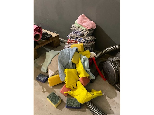 Dyson dc29 stofzuiger en schoonmaakgerei - afbeelding 5 van  5