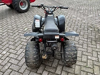 E-ton 90r viper quad - afbeelding 8 van  11