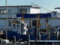 Eagernoon - 1992 - garnalen en platvis - vissersboot - afbeelding 22 van  33