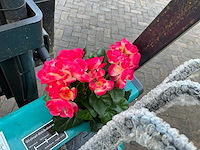 Easy-going - 3 ton - cpd-30 - vorkheftruck - 2024 - afbeelding 17 van  39